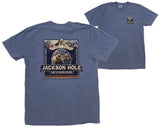 Highland Grizzly 399