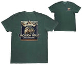 Highland Grizzly 399