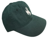 New Zephyr Bronco Hat