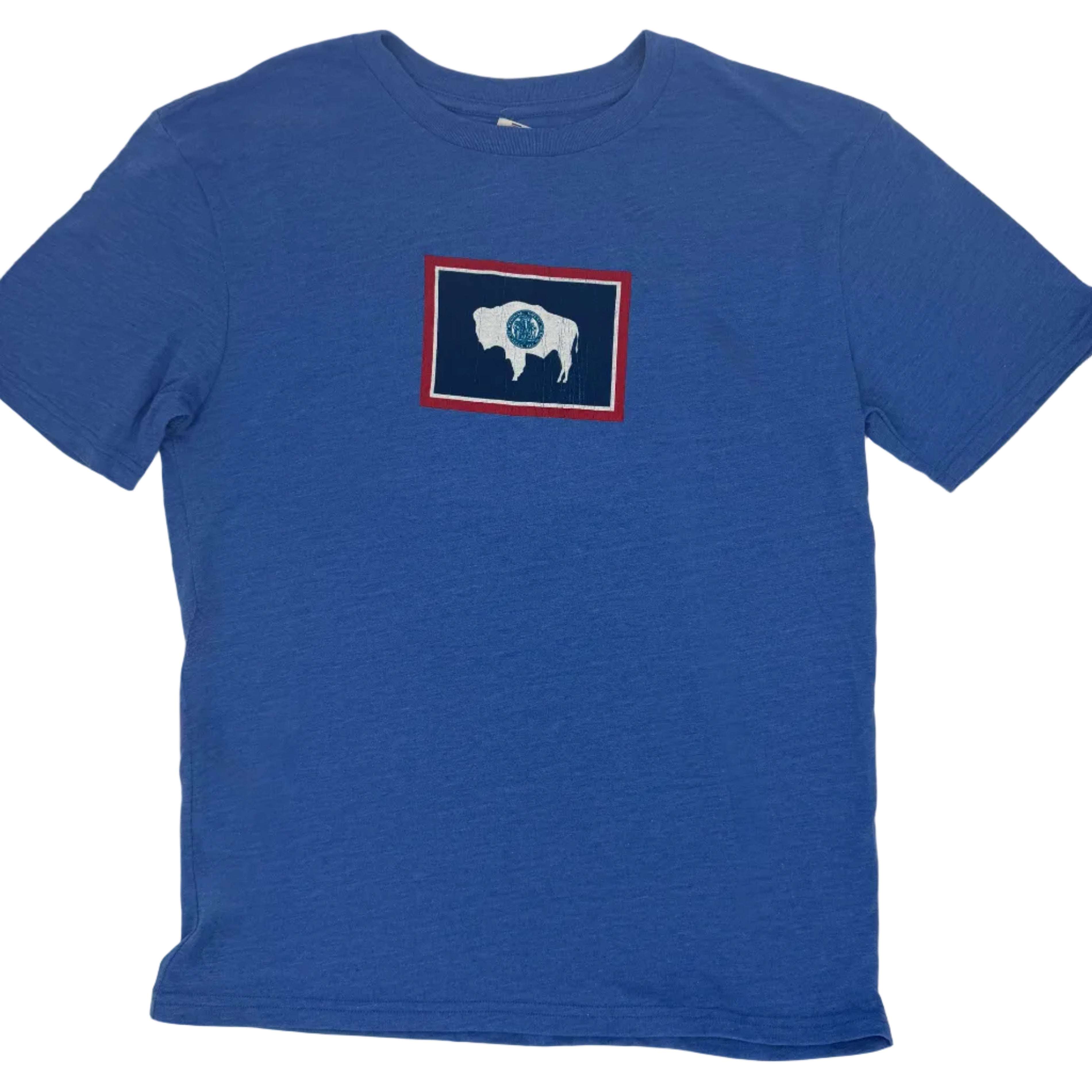 Medallion Wyoming Flag