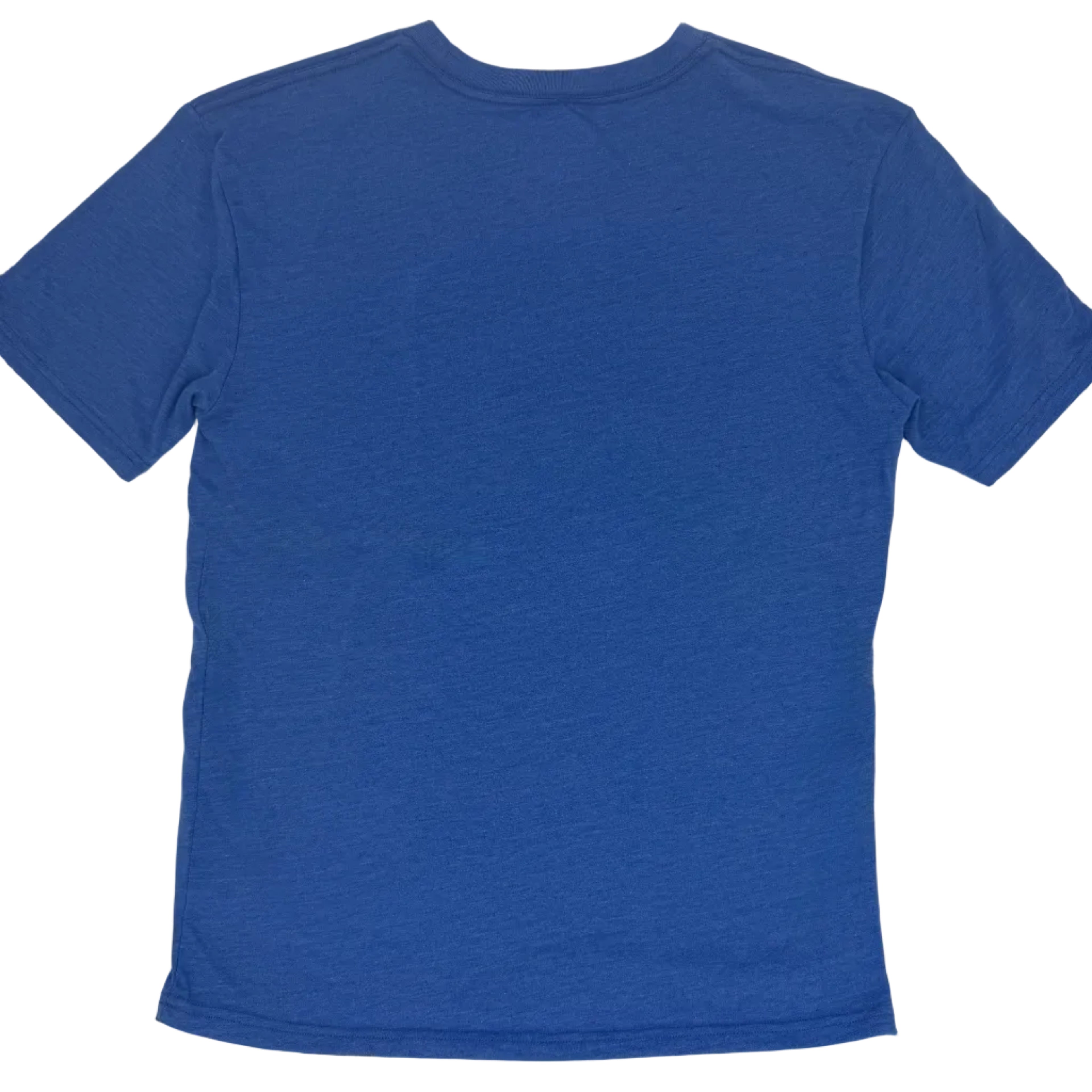 Medallion Wyoming Flag