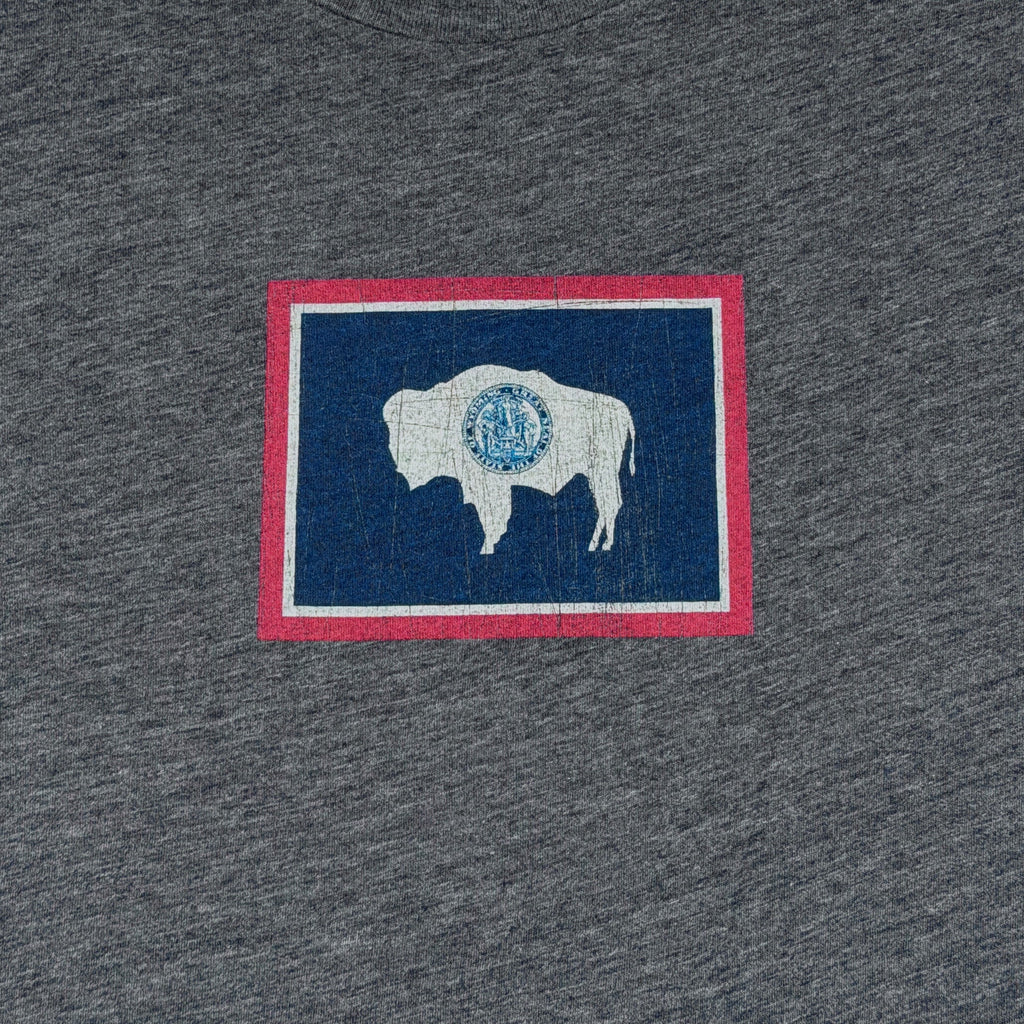 Medallion Wyoming Flag