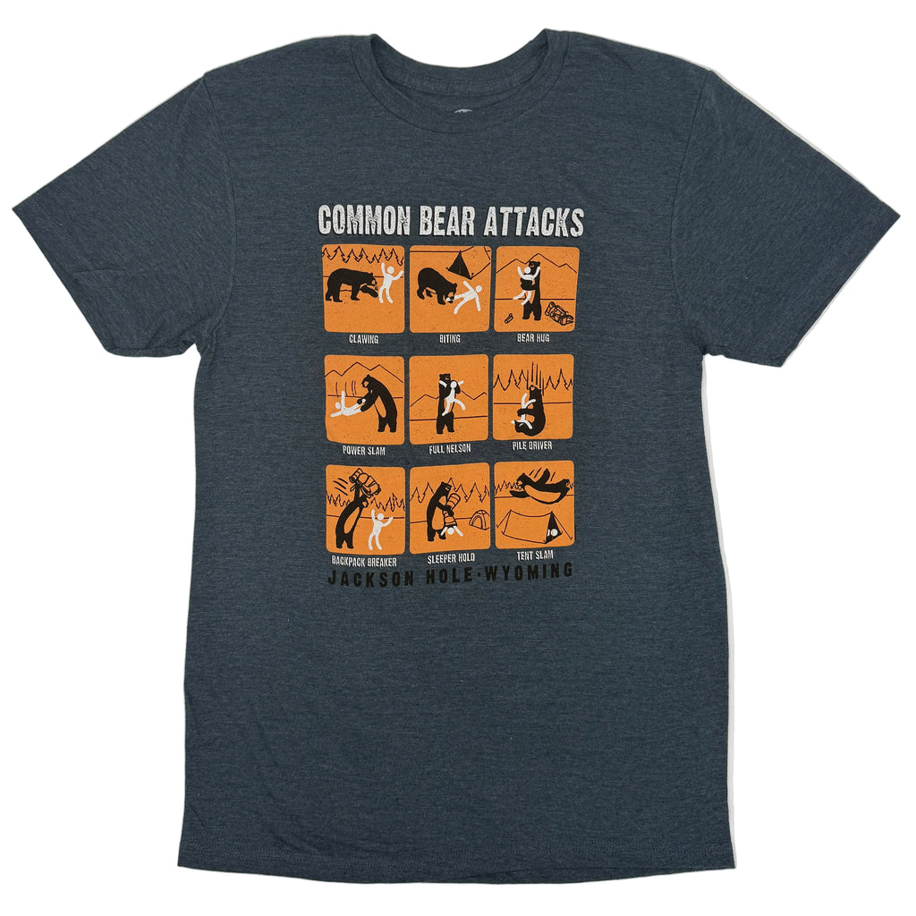 Common Bear Attacks