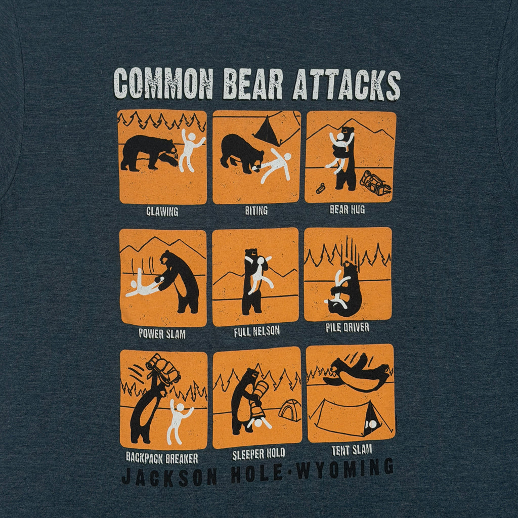 Common Bear Attacks