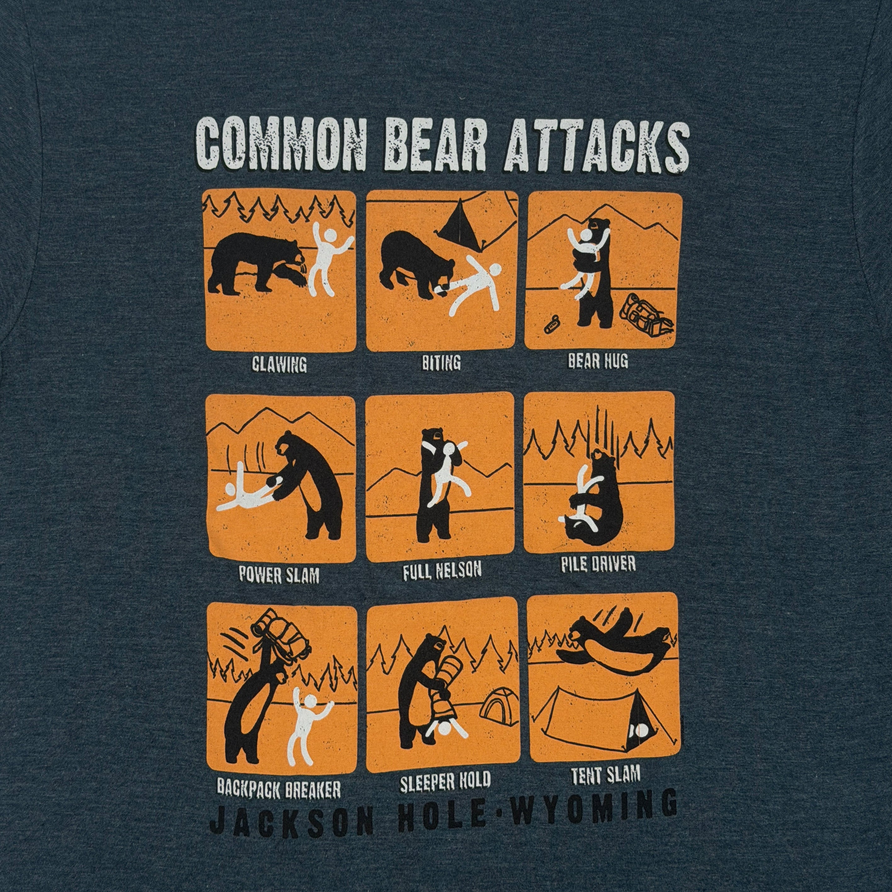 Common Bear Attacks