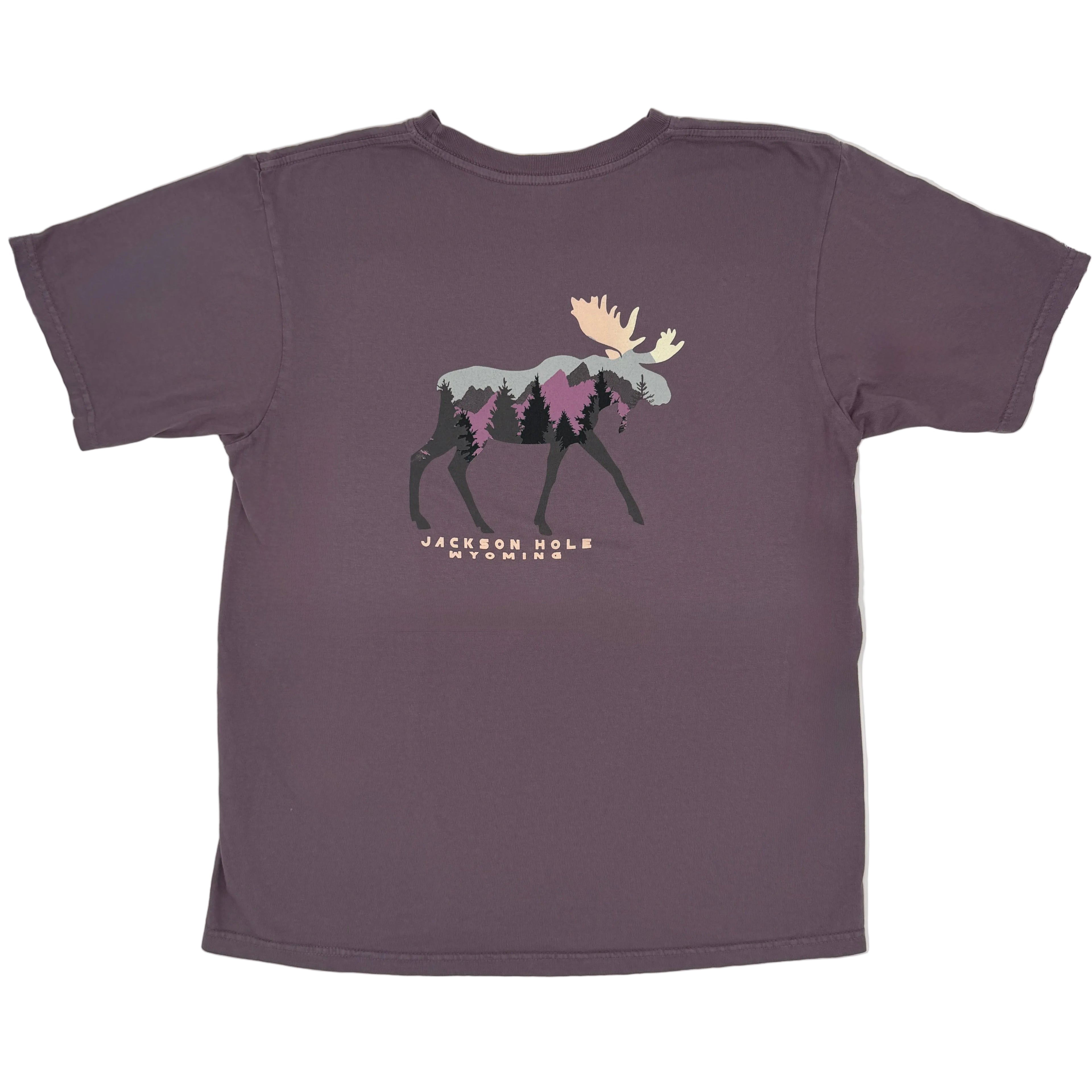 Hitchhiker Moose