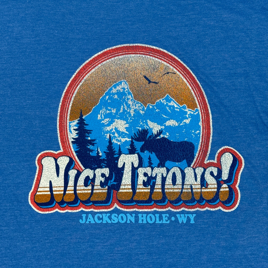 Nice Tetons