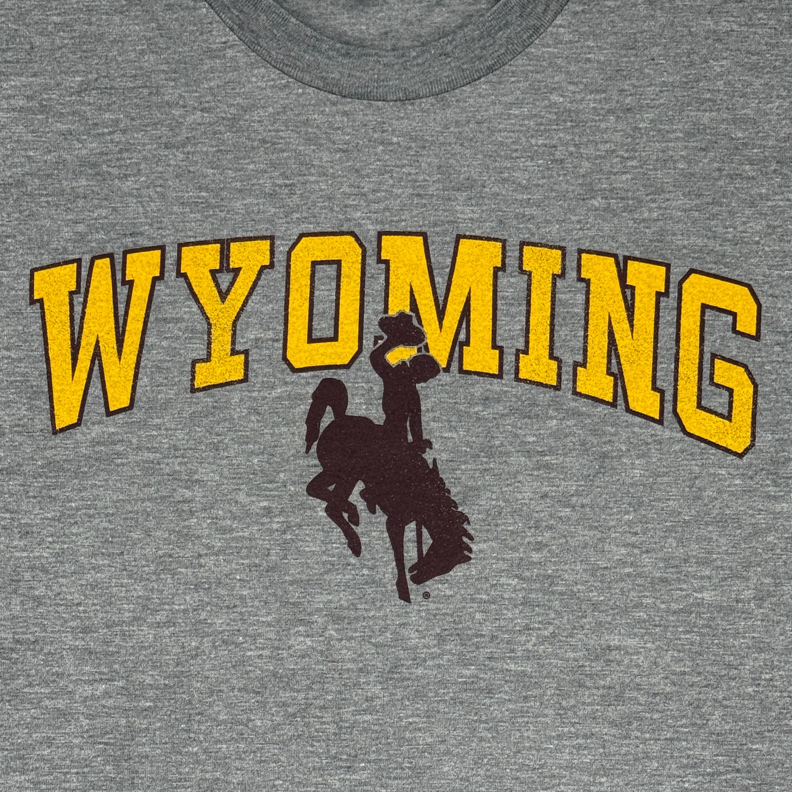 Wyoming Arch Bronco
