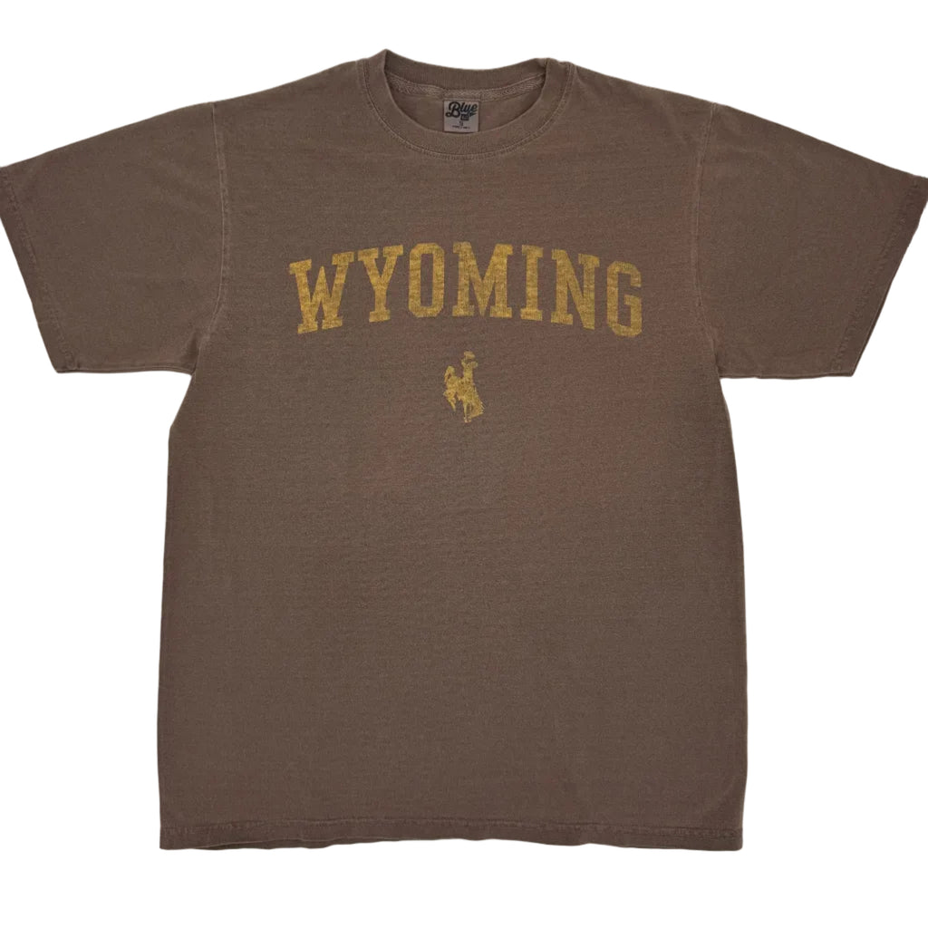 Incorporated Wyoming Bronco