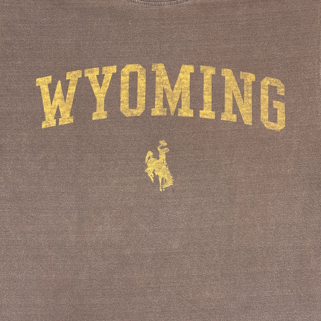 Incorporated Wyoming Bronco