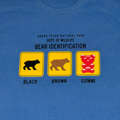 Bear Identification