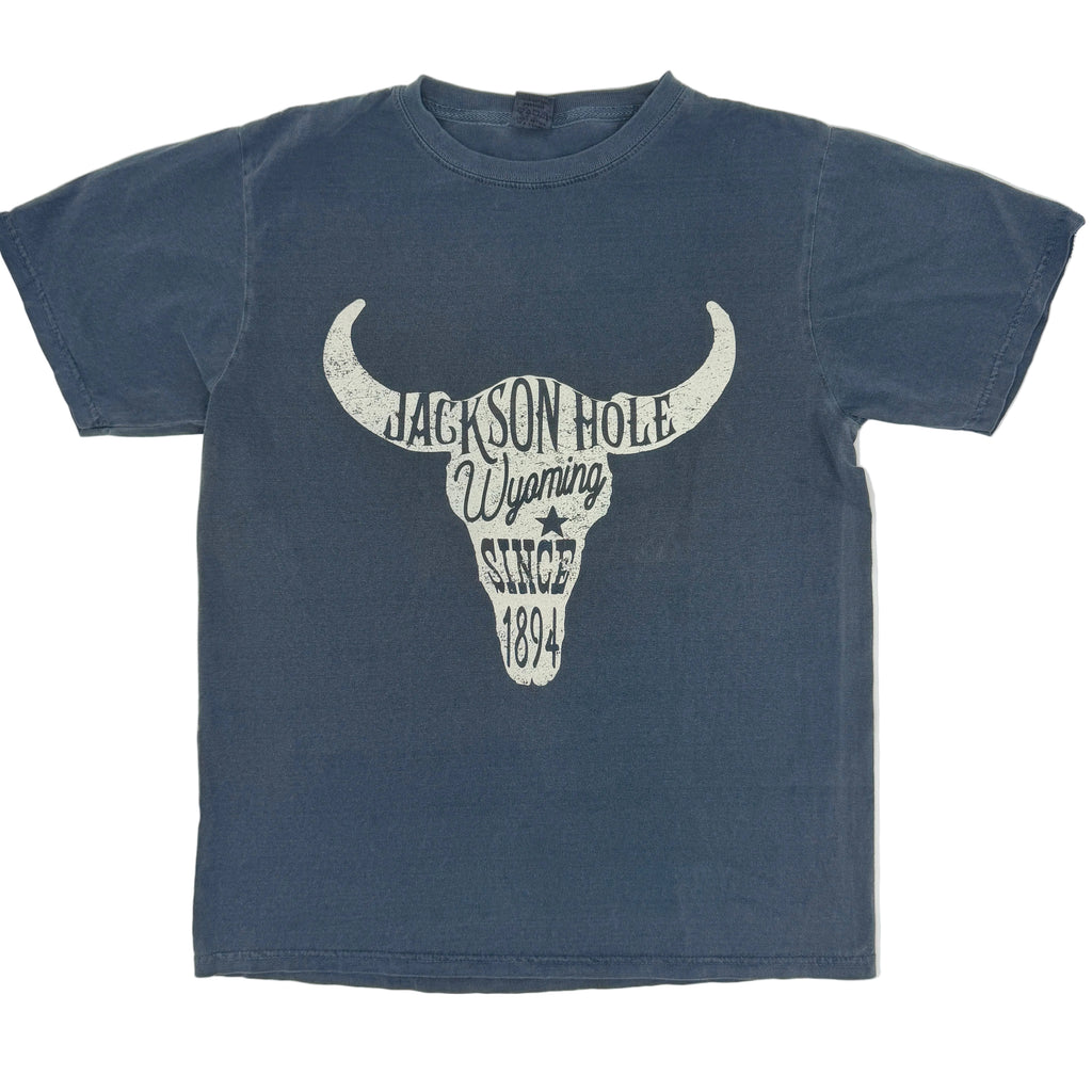 Maxillary Bison Skull