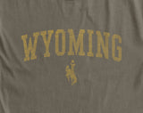 Incorporated Wyoming Bronco