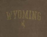 Incorporated Wyoming Bronco