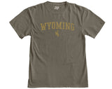 Incorporated Wyoming Bronco