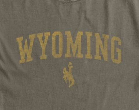 Incorporated Wyoming Bronco