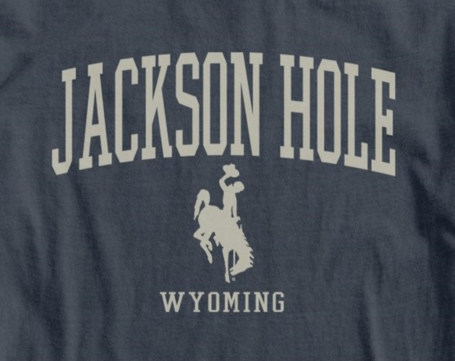 Long Sleeve Ivy Seen Bronco