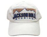 Penniless Teton 3D Cord Hat