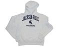 Champion Reverse Weave Hood