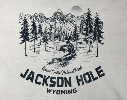 Shored Snowmobile Tetons