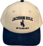 Lee's Simple Embroidered Bronco