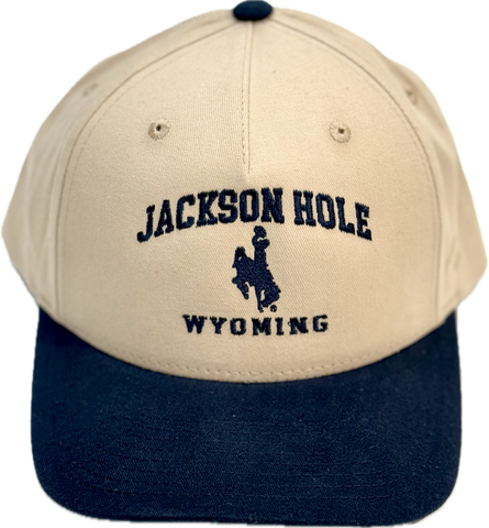 Lee's Simple Embroidered Bronco