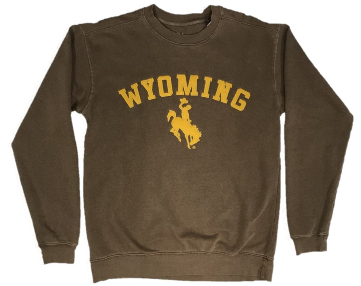 Time Will Tell Bronco Crewneck