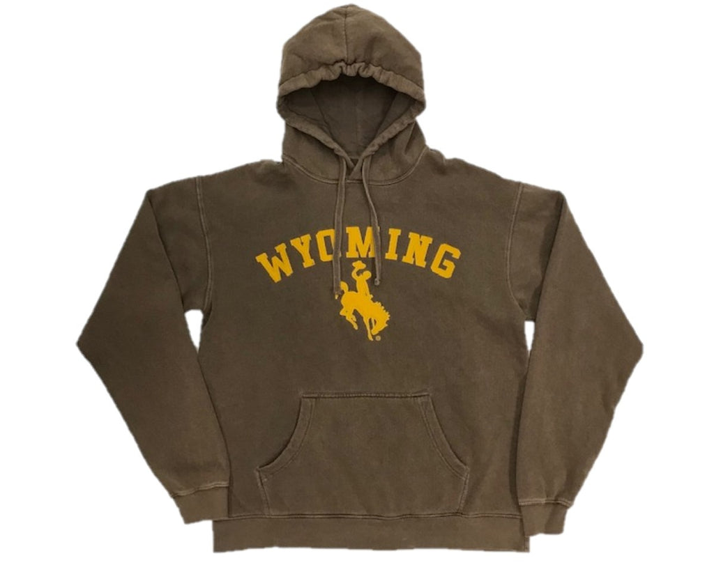 Time Will Tell Bronco Hood