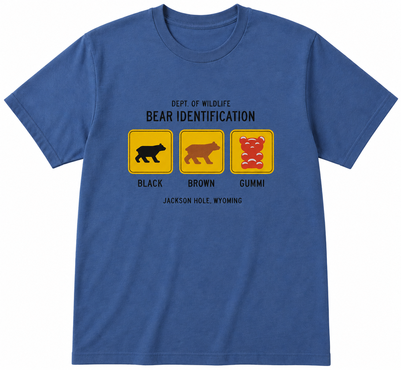 Kids' Bear Identification