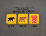 Bear Identification