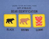 Bear Identification