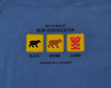 Kids' Bear Identification