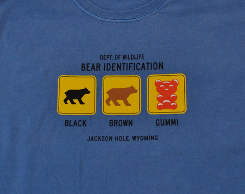 Boys' Bear Identification