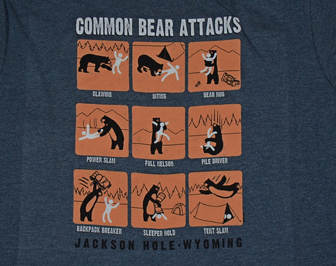 Common Bear Attacks