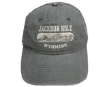 Disc Tetons Hat