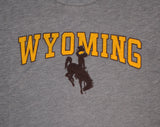Wyoming Arch Bronco