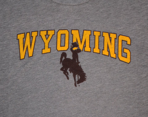 Wyoming Arch Bronco