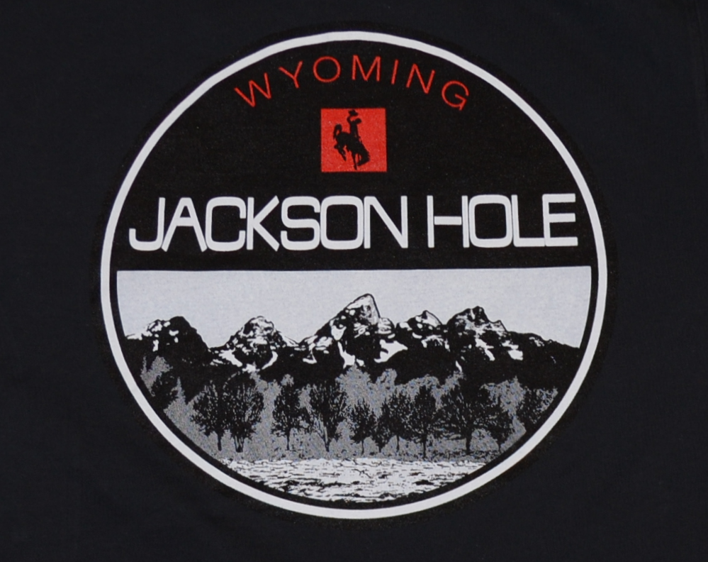 Long Sleeve Chainlink Tetons