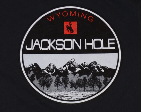 Chainlink Tetons